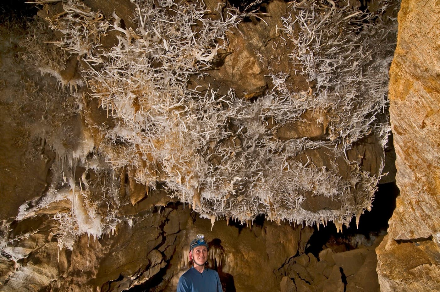 Helictite crystals in the Landmark Room of Black Chasm Cavern