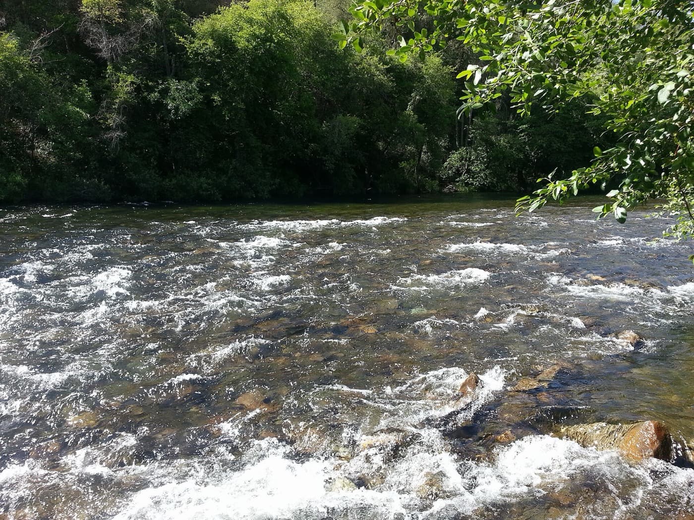 Rapids on the Mokelumne River's Electra run just west of Highway 49