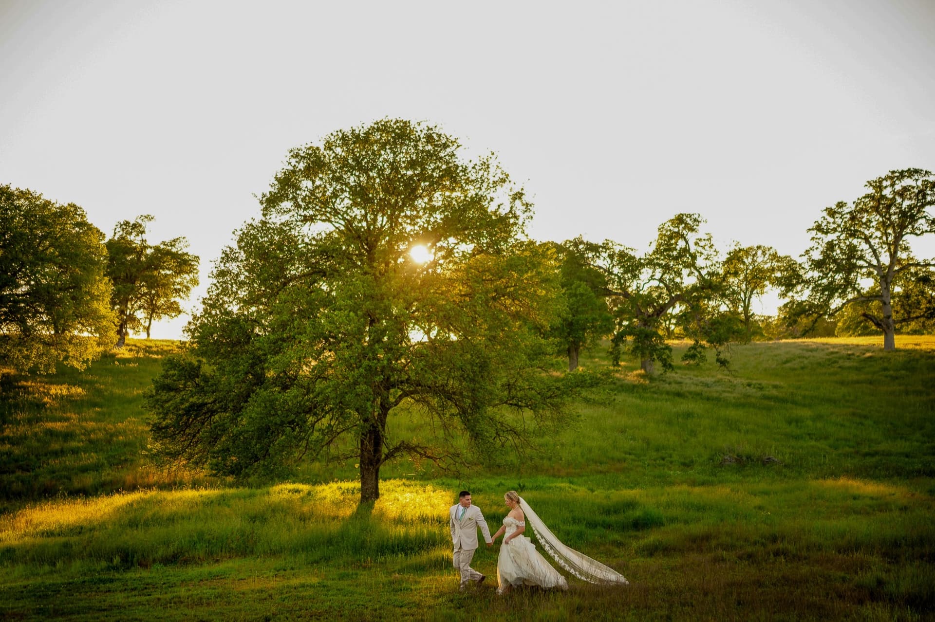 Couple walk hand in hand through the spring meadow as the low sun breaks through a towering valley oak, ranch wedding near Sacramento
