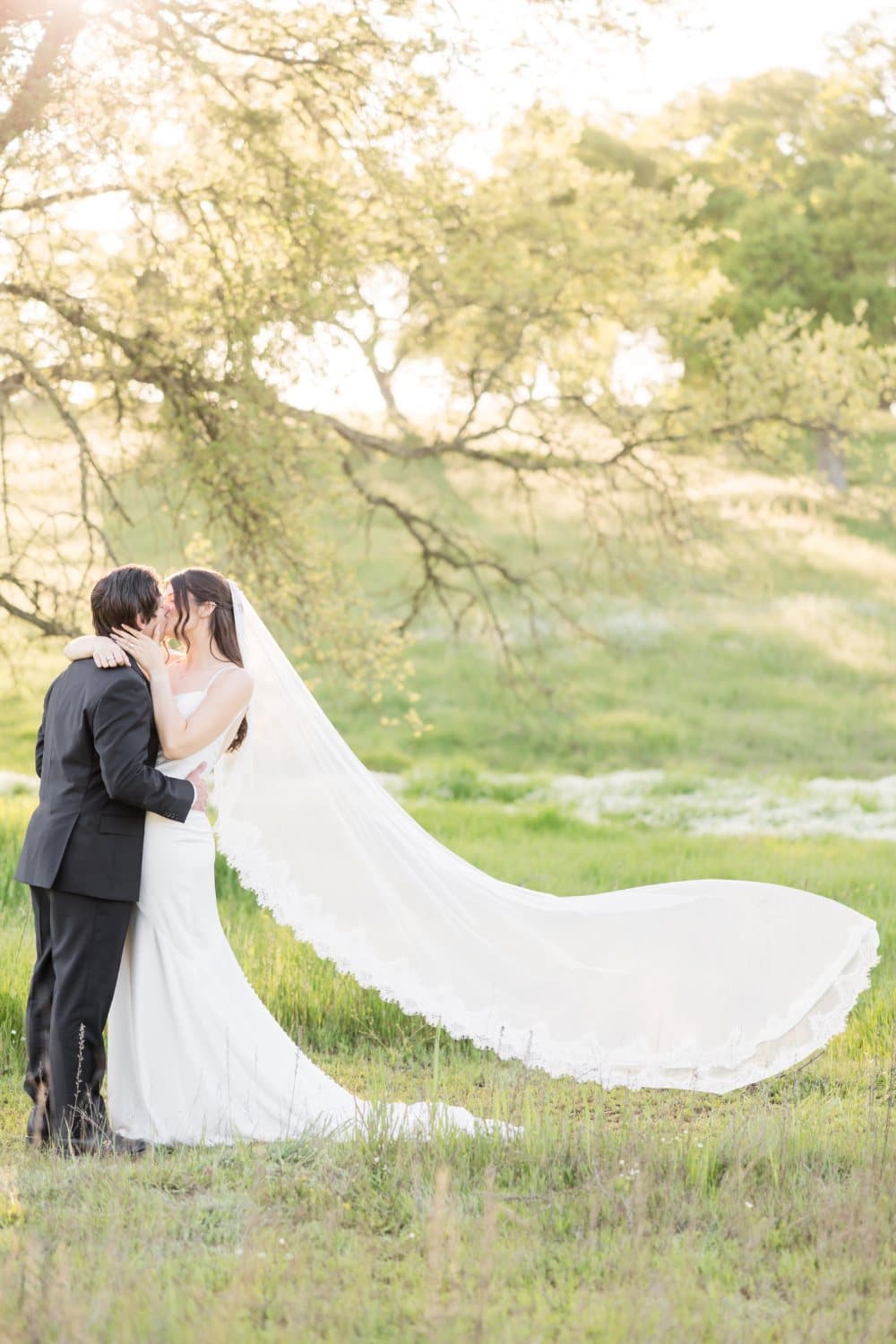Bride's lace-edged cathedral veil floats across the spring meadow as the couple kiss under an oak