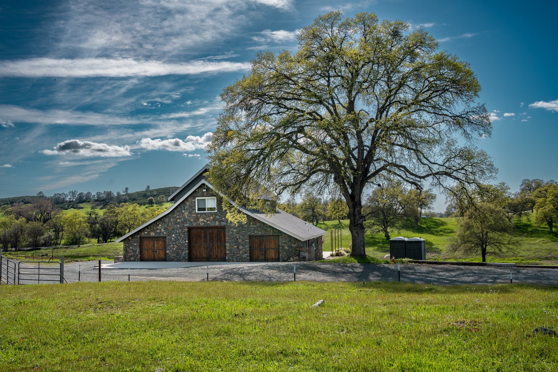 The rebuilt stone barn at Cosumnes River Ranch beneath a wide valley oak, green foothills behind it in spring